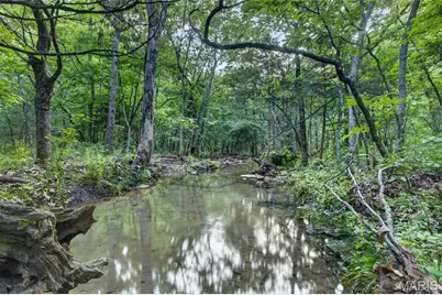 003 M- Cantrell Road, Winfield, MO 65704 - Photo 8