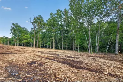 004 M- Cantrell, Winfield, MO 65704 - Photo 4