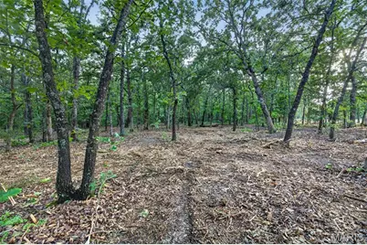 004 M- Cantrell, Winfield, MO 65704 - Photo 6