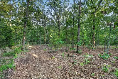 004 M- Cantrell, Winfield, MO 65704 - Photo 10