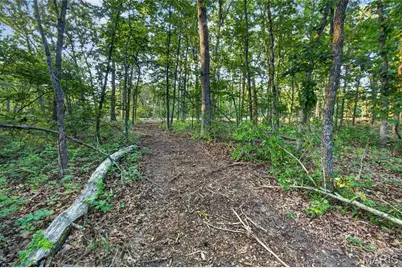 004 M- Cantrell, Winfield, MO 65704 - Photo 14