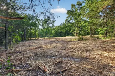 005 M- Cantrell Road, Winfield, MO 65704 - Photo 4