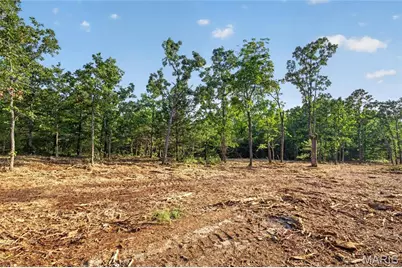 005 M- Cantrell Road, Winfield, MO 65704 - Photo 2