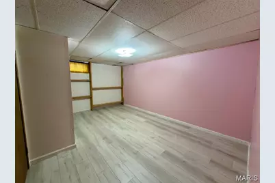 1154 Reale Avenue, Saint Louis, MO 63138 - Photo 12