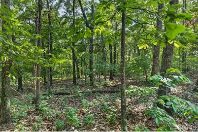006 M- Cantrell Road, Winfield, MO 65704 - Photo 20