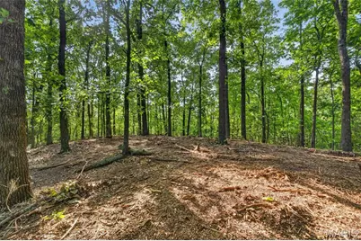 006 M- Cantrell Road, Winfield, MO 65704 - Photo 16
