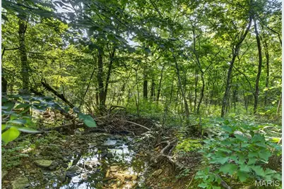 006 M- Cantrell Road, Winfield, MO 65704 - Photo 28