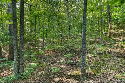 006 M- Cantrell Road, Winfield, MO 65704 - Photo 24