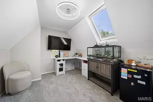 7134 Stanford Ave, University City, MO 63130 - Photo 36