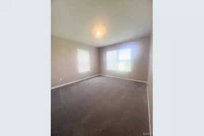 11 Cabanne Townhome Drive, Saint Louis, MO 63112 - Photo 20