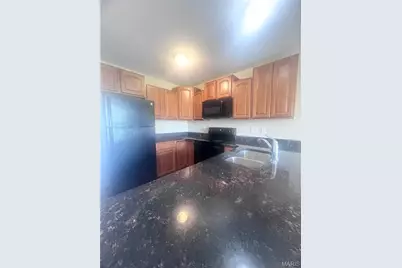 11 Cabanne Townhome Drive, Saint Louis, MO 63112 - Photo 8