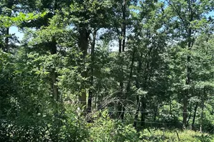183 Kehner Rd, Shelbyville, MO 65565 - Photo 78