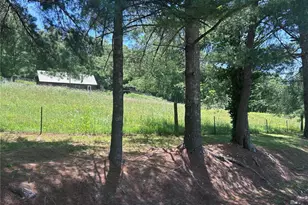 183 Kehner Rd, Shelbyville, MO 65565 - Photo 6