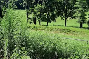 183 Kehner Rd, Shelbyville, MO 65565 - Photo 84