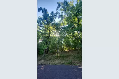 Lot 14 E Forest Lane, Robertsville, MO 65066 - Photo 6