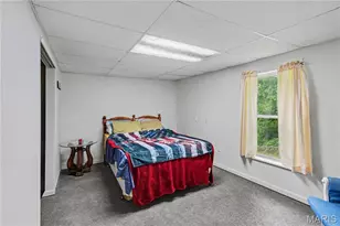 629 Locust St, Festus, MO 63028 - Photo 22