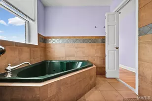 4622 Cleveland Ave, Saint Louis, MO 63110 - Photo 36