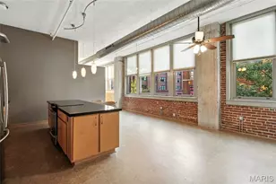 1627 Locust St, Saint Louis, MO 63103 - Photo 12