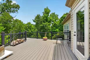 886 Arbor Chase Dr, Wildwood, MO 63021 - Photo 58