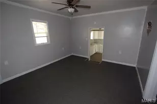 1405 E Chestnut St, Desloge, MO 63601 - Photo 16