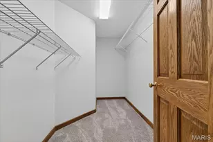 8578 Lizard Ln, Dittmer, MO 63023 - Photo 24