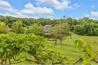 1824 Morre Road, Robertsville, MO 65066 - Photo 52
