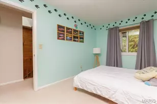 640 Painted Vista Dr, Ballwin, MO 63021 - Photo 22