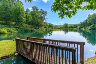 10450 Ok Rd, Bonne Terre, MO 63628 - Photo 74