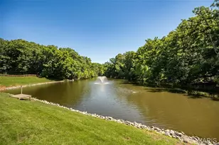 733 Castle Ridge Dr, Ballwin, MO 63021 - Photo 70