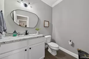 119 Pomodora Cir, Wentzville, MO 63385 - Photo 20