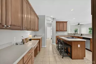 412 Marine Terrace, Lake Saint Louis, MO 63367 - Photo 14