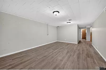 3843 Tesson Court, Saint Louis, MO 63123 - Photo 34