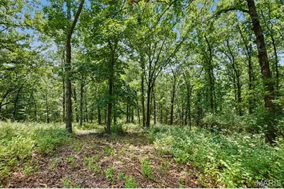1410 Saint Paul Road, Ballwin, MO 63021 - Photo 8