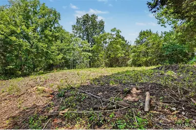 1410 Saint Paul Road, Ballwin, MO 63021 - Photo 4