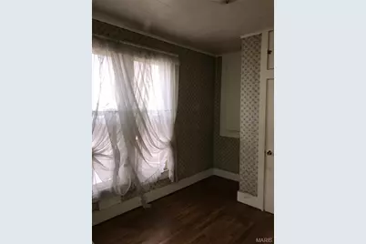 401 Jackson Street, Louisiana, MO 63353 - Photo 20