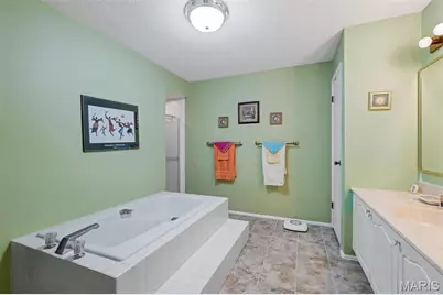 550 Coeur De Royale Drive #206, Creve Coeur, MO 63141 - Photo 30