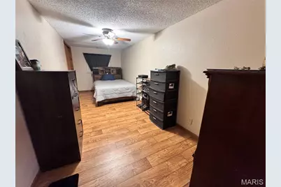 14280 W Sunrise Lake Drive, De Soto, MO 63020 - Photo 14