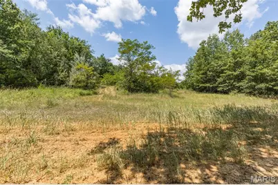 0 Dodson, De Soto, MO 63020 - Photo 18