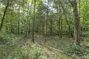 0 Dodson, De Soto, MO 63020 - Photo 8