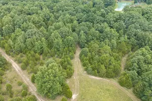 0 Dodson, De Soto, MO 63020 - Photo 40
