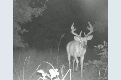 0 Dodson, De Soto, MO 63020 - Photo 6