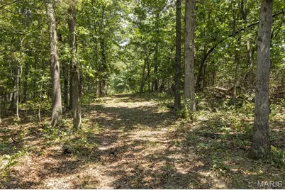 0 Dodson, De Soto, MO 63020 - Photo 16