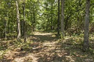 0 Dodson, De Soto, MO 63020 - Photo 16