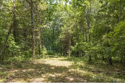 0 Dodson, De Soto, MO 63020 - Photo 24