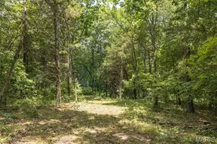 0 Dodson, De Soto, MO 63020 - Photo 24