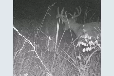 0 Dodson, De Soto, MO 63020 - Photo 22