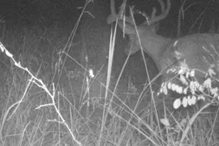 0 Dodson, De Soto, MO 63020 - Photo 22
