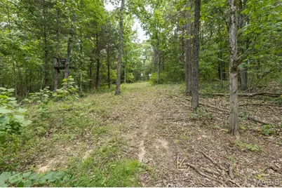0 Dodson, De Soto, MO 63020 - Photo 26