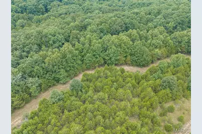 0 Dodson, De Soto, MO 63020 - Photo 42