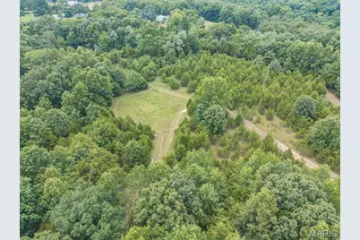 0 Dodson, De Soto, MO 63020 - Photo 44